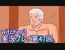 探し人を求めてwitcher3実況プレイ第47回