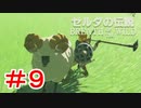 ゼルダ初心者とガチ勢のほのぼの伝説【ゼルダの伝説ブレスオブザワイルド実況：part9】