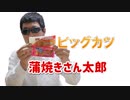 みんな大好きな駄菓子 ビッグカツと蒲焼きさん太郎をレビュー！
