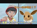 【縛り実況】ポケモン・シールドの言語を英語にしたらわけわからん #11【ポケットモンスター シールド】