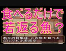 【ゆっくり実況】海無し県人のゆっくりの川釣り　part20【川のぬし釣り～秘境を求めて～】