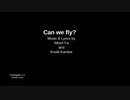 Can we fly?