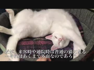 ウチューネコチャン、猫の形状を放棄する