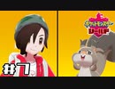 【実況】絶対チャンピオンになってやる！ Part7【ポケットモンスター シールド】