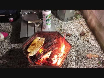 家キャン飯4スルメイカと椎茸