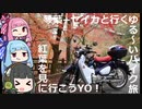 【納車報告】琴葉+セイカと行くゆる～いバイク旅　紅葉を見に行こうYO!【カブC125】