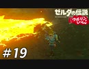 【実況】ウルリンといっしょ＃19｢環境への適応力が高すぎる｣【BotW】