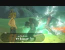 変装イーガ団が増やせると聞いて