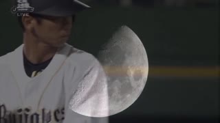 オリ達の夜明け