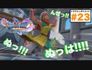 「ポジティブのススメ」を読んでいるやつはネガティブだろwww【ドラクエ11s3D#23】サマディー城下町サーカス〜サソリ退治出発前まで