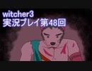 探し人を求めてwitcher3実況プレイ第48回