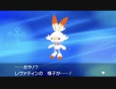ポケットモンスターシールドを語りたい Part 6
