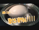 ポケモン剣盾　「ゆでたまごカレー」を世界一大きな卵でつくってみた