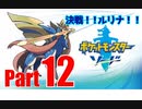 【晴銃】ポケモン図鑑制覇を目指して＃12