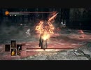ソウルキャノンボール　End stage　しぐなる騎士団