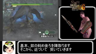 【ゆっくり解説】wii版モンスターハンターG　訓練所　フルフル　ランス編