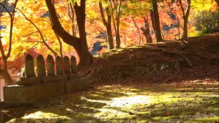 神峯山寺の紅葉