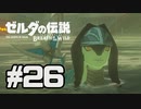 【実況】リンクのハイラル道中膝栗毛 part26【ゼルダの伝説BotW】