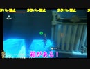 扉開けチャレンジ『ゼルダの伝説BOTW』