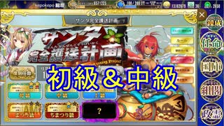 【確認用】政剣マニフェスティア　サンタ完全護送計画　初級＆中級