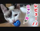 ニャンコロビー　レビュー/ニャンコロビ―が大好きな猫