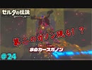 【続編決定記念】のんびりと伝説「ゼルダの伝説～ブレスオブザワイルド～」　＃24