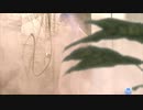 DOAX_VV しらゆきのあさり （'19/12/12）