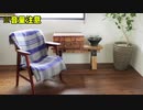 猫観察日記