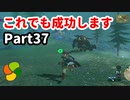 【実況】今年で定年を迎える父をハイラルの大地に放り込むPart37【ゼルダの伝説BotW】