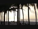 Caribbean_Sunrise_　左近鈴乃