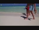 White_Sand_and_Tourists_左近鈴乃