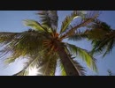 Palm_Trees_2.　左近鈴乃