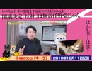 【閣議決定】「反社」は無責任野党じゃね？日本人は仕事の邪魔をする連中が大好きの反対｜みやわきチャンネル（仮）#660Restart519