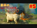 #5【アクション】最弱ウィッチャーでも怪物退治がしたい。【The Witcher 3：デスマーチ】