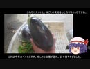 ゆっくり農民121ナスを育ててみませんか？