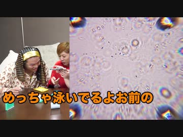 ホモと学ぶ精子の濃度・運動率を測定し、自然妊娠できるかどうか調べるYouTuber