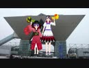 【弾幕アマノジャク5周年】鬼人正邪と学ぶコミケ初心者心得【ゆっくり解説】