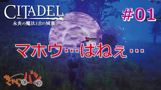 【PS版:CITADEL】脳まで筋肉でも魔法世界を生き抜きたい＃01【きゃらバン】