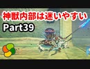 【実況】今年で定年を迎える父をハイラルの大地に放り込むPart39【ゼルダの伝説BotW】