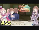 【メルルのアトリエ】最高の国を作る錬金術師を目指して【実況】Part25