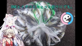 【かもめ大橋】ONEとイタコとちょっと釣りにでも。6回目【VOICeVIフィッシング】