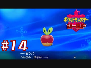 つがるさんりんご【ポケットモンスターシールド】＃１４