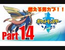 【晴銃】ポケモン図鑑制覇を目指して＃14
