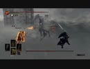 ソウルキャノンボール　End stage　Re.ユッキーレベリング隊騎士団