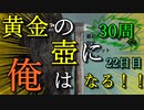 黄金の壺に、俺はなる！！＃22日目（30周目完）【Getting Over It with Bennett Foddy】