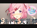 【絶叫実況】秋の夜長に死ぬほど怖いギャルゲーをやろう【ドキドキ♡文芸部】Part13