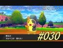ポケモンコレクターに俺はなる!!#030