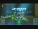 【ゼル伝BotW】100年の眠りから目覚めた勇者の冒険１１３【もちまる】
