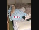 いや取れるよ！絶対自分で取れるヤツよ！