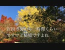 山口県百名山　周防岩国藩　吉川公の祈願所　阿品弥山の紅葉と山並み　２０１９